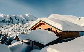 Heidi Chalets Falkert Heidialm - Chalets Bergwinter
