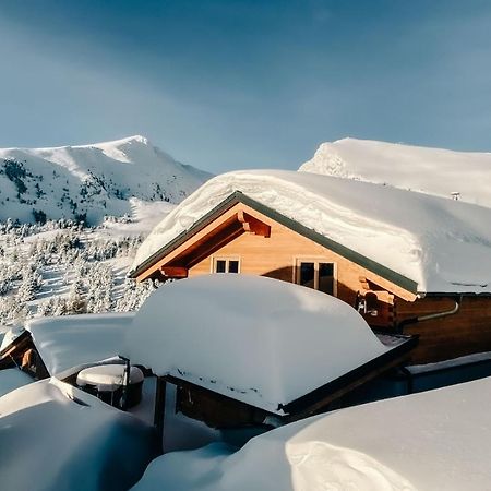 Villa Heidi Chalets Falkert Heidialm - Chalets Bergwinter Patergassen Exterior foto