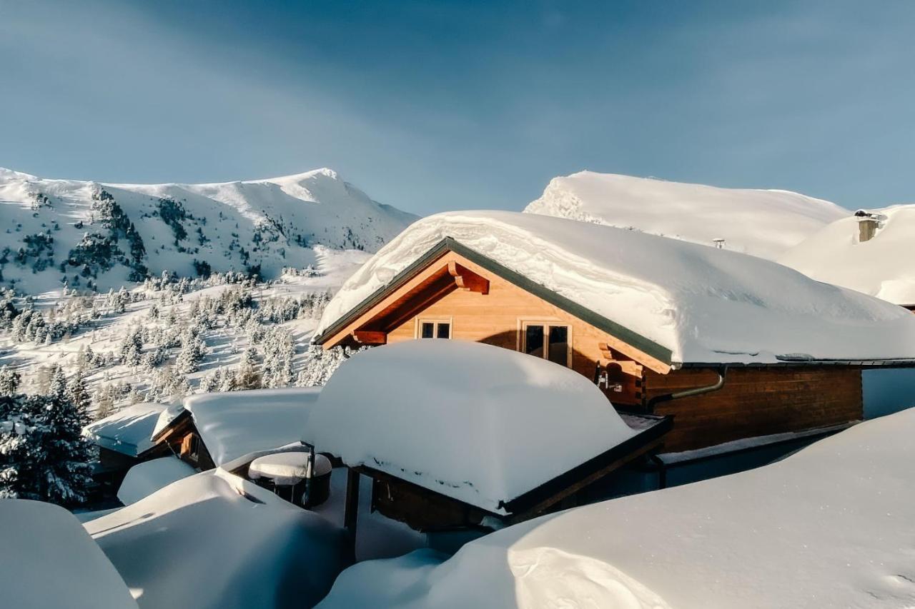 Villa Heidi Chalets Falkert Heidialm - Chalets Bergwinter Patergassen Exterior foto