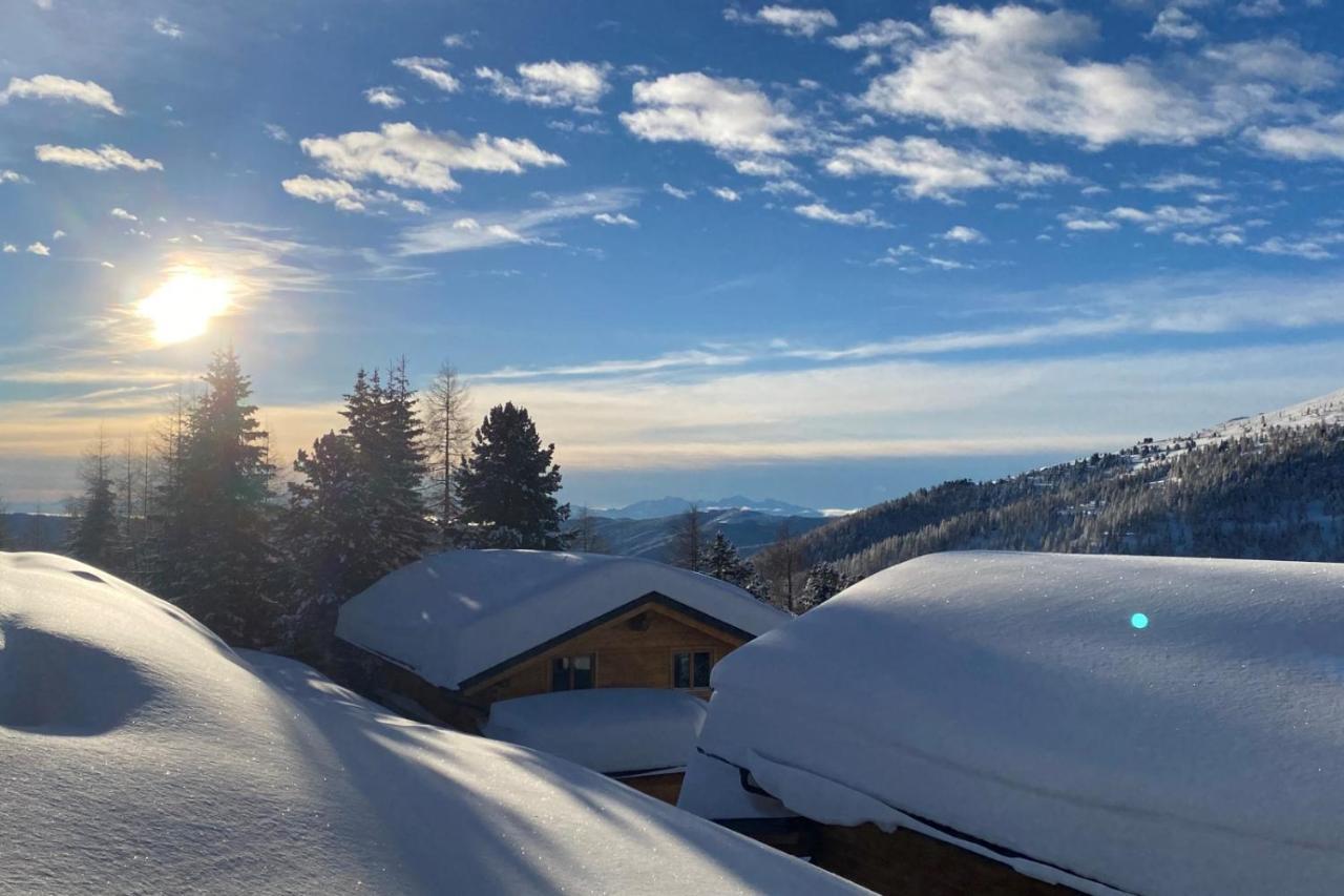 Villa Heidi Chalets Falkert Heidialm - Chalets Bergwinter Patergassen Exterior foto