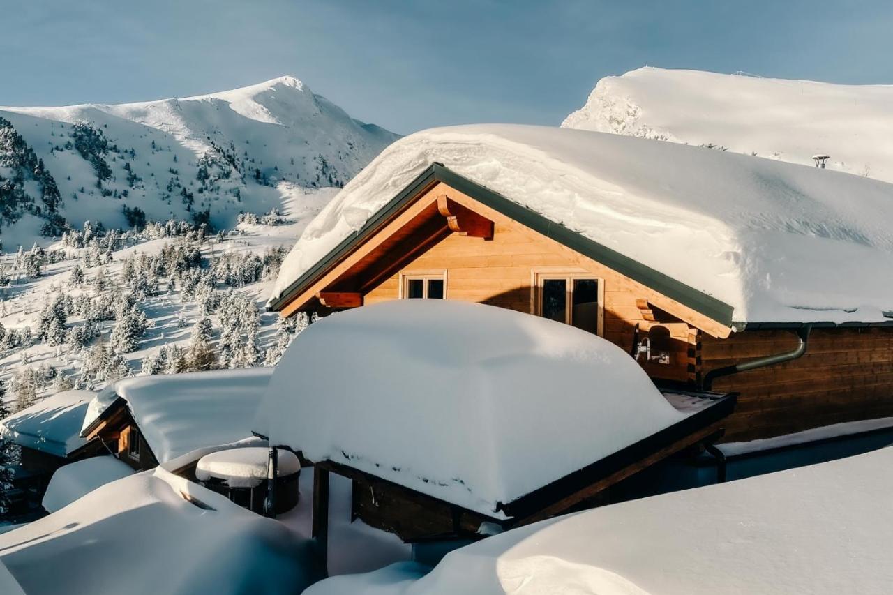 Villa Heidi Chalets Falkert Heidialm - Chalets Bergwinter Patergassen Exterior foto