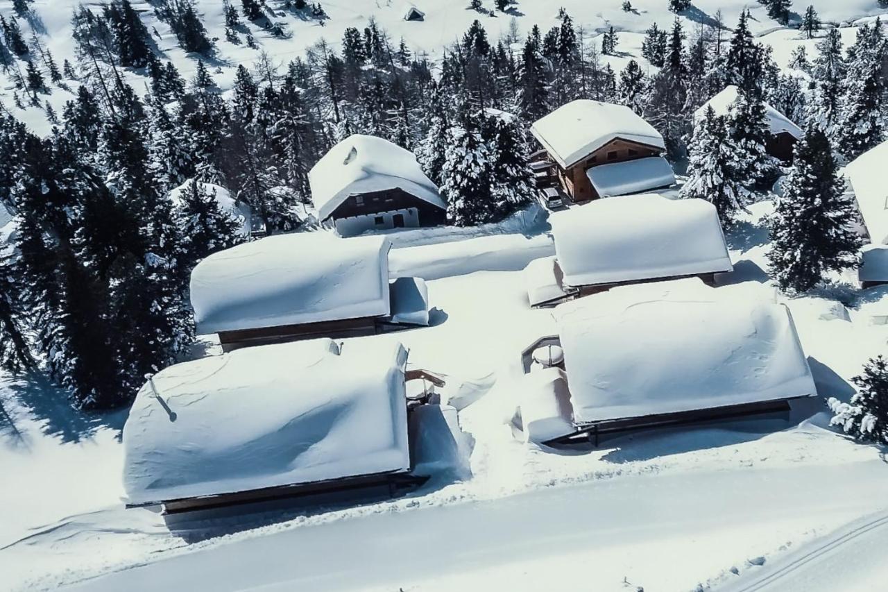 Villa Heidi Chalets Falkert Heidialm - Chalets Bergwinter Patergassen Exterior foto