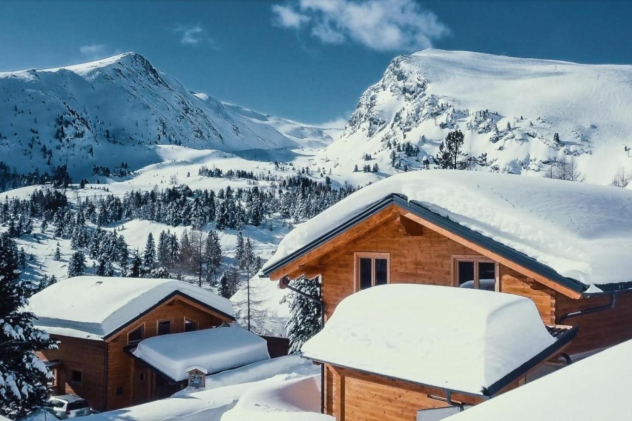 Villa Heidi Chalets Falkert Heidialm - Chalets Bergwinter Patergassen Exterior foto